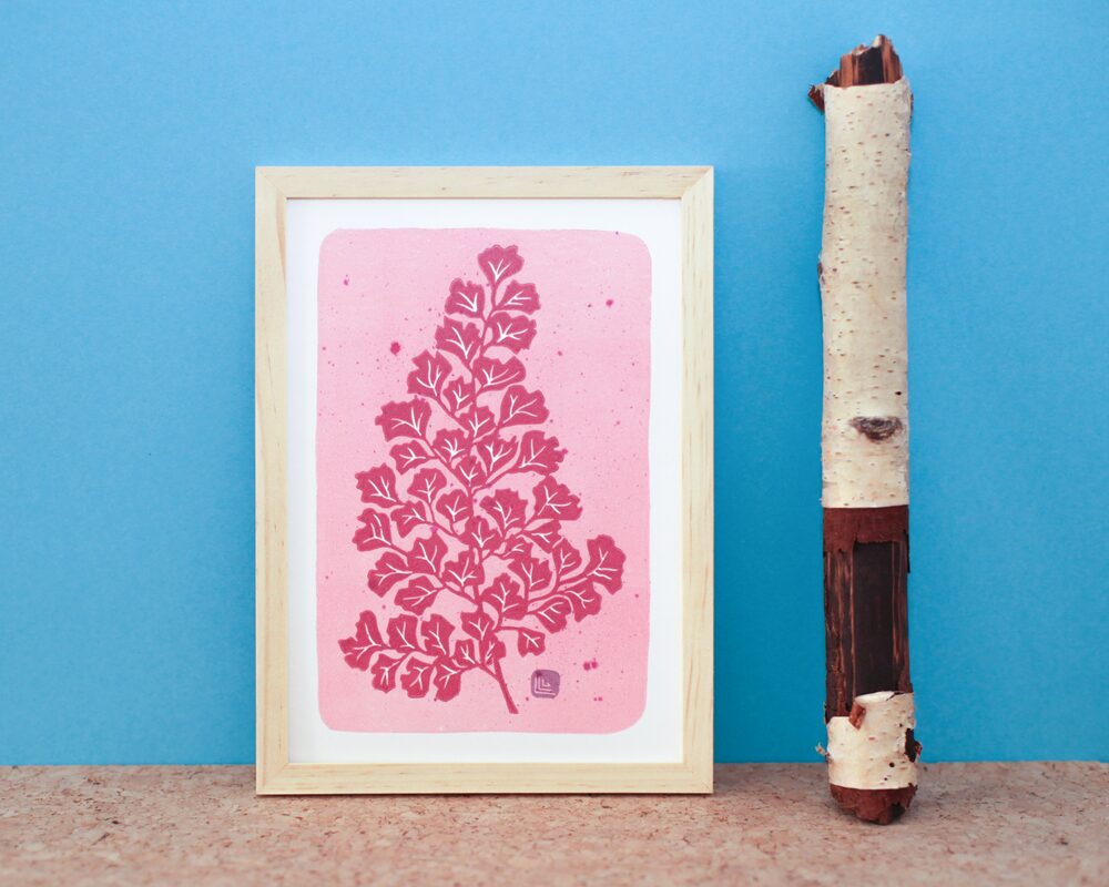 Capilaire (pink leef)