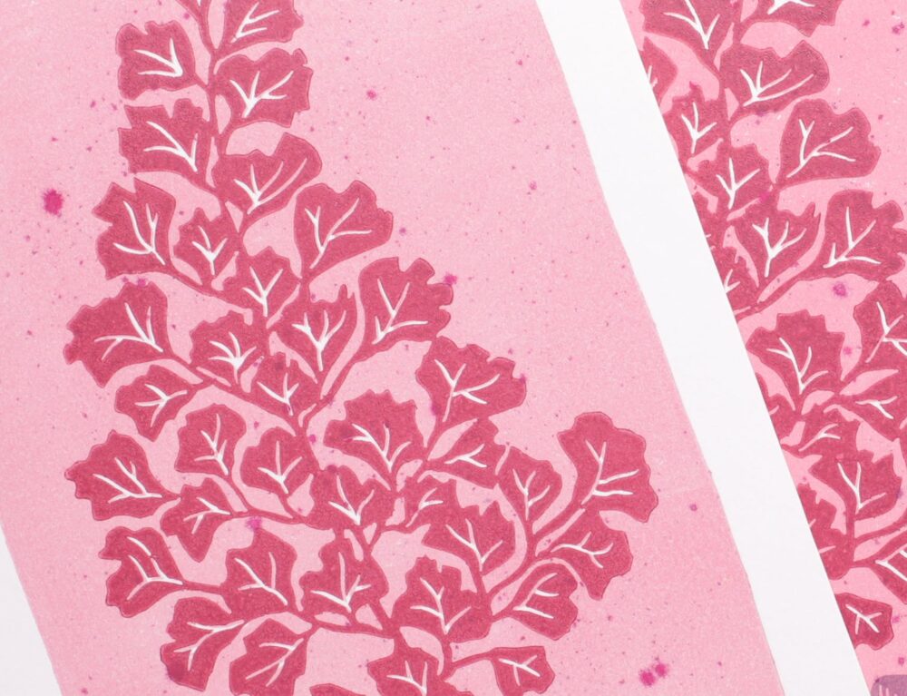 Capilaire (pink leef)