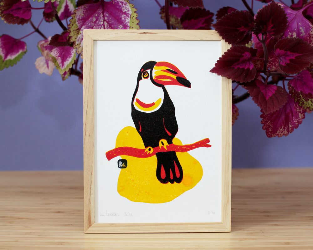 Toucan
