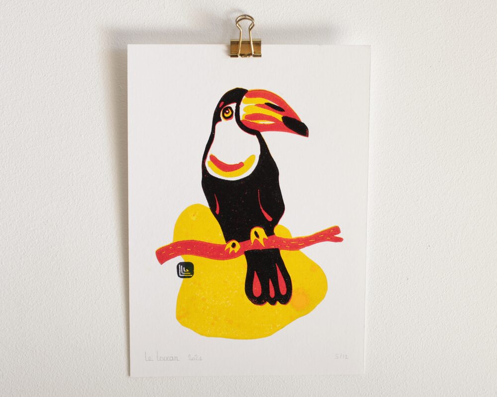 Toucan