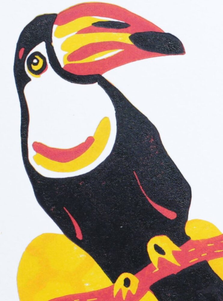 Toucan