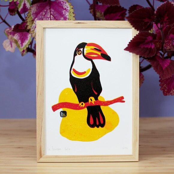Toucan